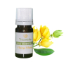 Huile essentielle d'Ylang-Ylang - Bio