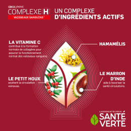 Circulymphe Complexe H Comprimés - Santé Verte