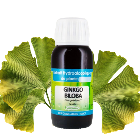 Extrait hydroalcoolique de Ginkgo Biloba Bio - Phytofrance