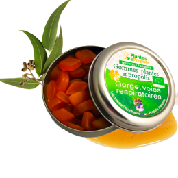 Gomme de propolis - Phytofrance