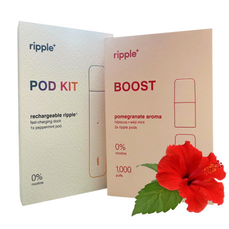 Duo Ripple+ Kit + Boost Pods - 1500 Puffs
