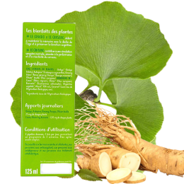 Mémoire Phytofacile