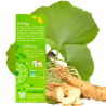 Mémoire Phytofacile