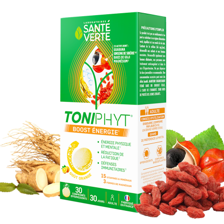 Toniphyt Boost énergie - goût citron-menthe