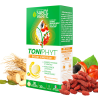 Toniphyt Boost énergie - goût citron-menthe