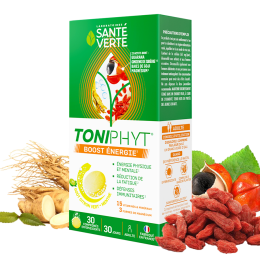 Toniphyt Boost énergie - goût citron-menthe