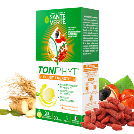 Toniphyt Boost énergie - goût citron-menthe