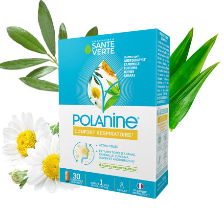 Polanine - Santé Verte