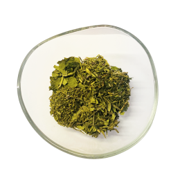 Infusettes Allergie