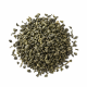 Thé vert (camellia sinensis)