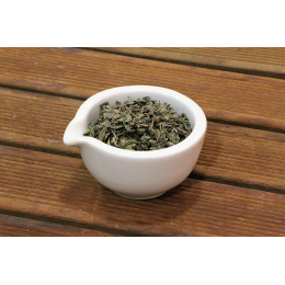 Thé vert (camellia sinensis)