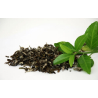 Thé vert (camellia sinensis)