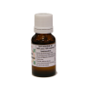 Huile essentielle d'Eucalyptus globuleux - bio