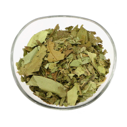 Infusion Diabète