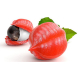 Guarana graines2