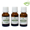 Trio huiles essentielles Hiver - bio
