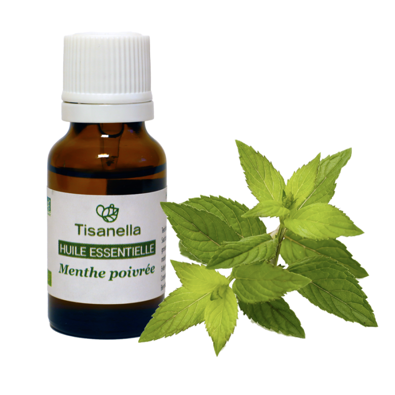 Huile essentielle, menthe poivrée, 10 ml – Personnelle : Huiles  essentielles