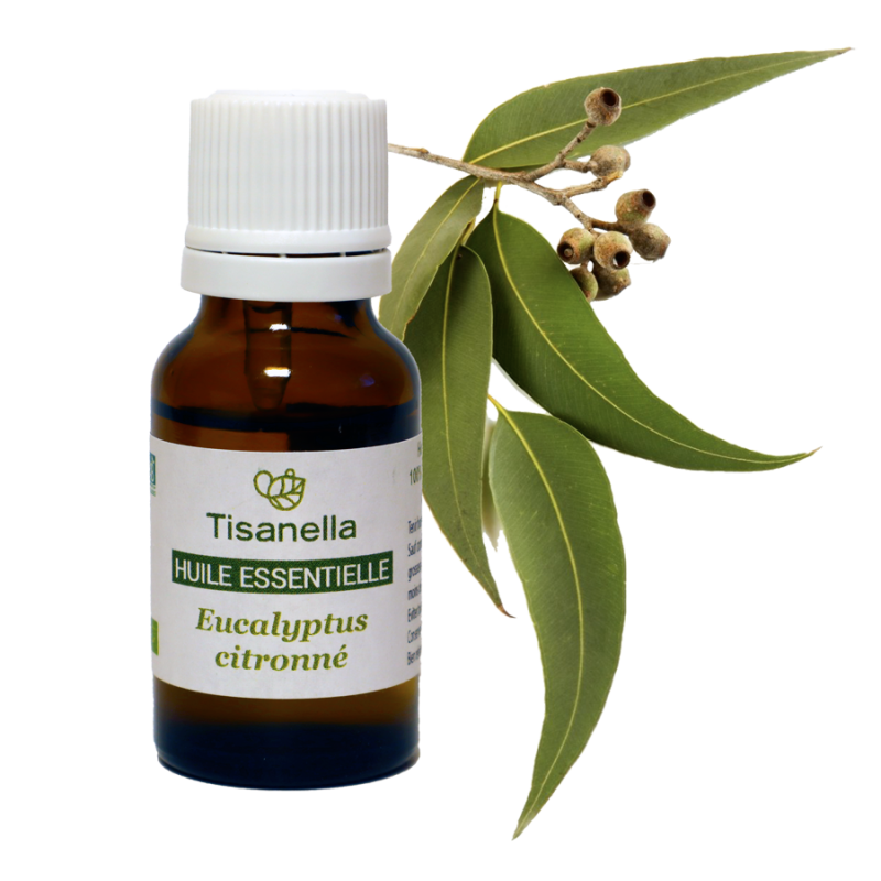 Huile essentielle bio d'Eucalyptus citronne (Eucalyptus citriodora)