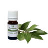 H.E. de Laurier noble - bio