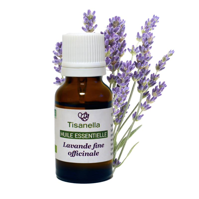 Huile essentielle bio de Lavande fine (Lavandula officinalis)