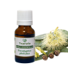 Huile essentielle d'Eucalyptus globuleux - bio