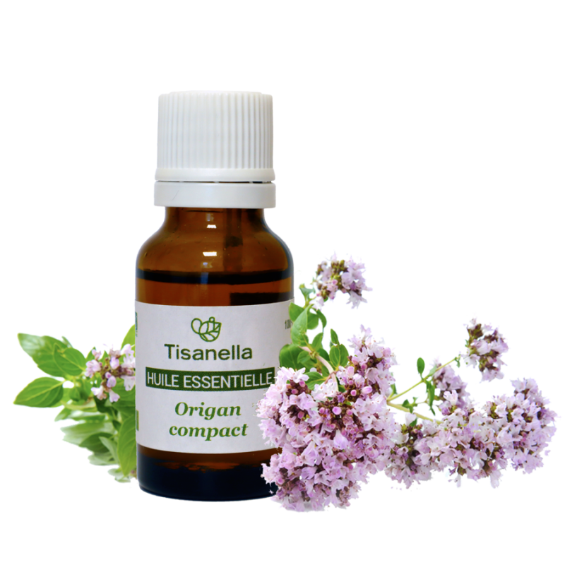 Huile essentielle bio d'Origan (Origanum compactum)