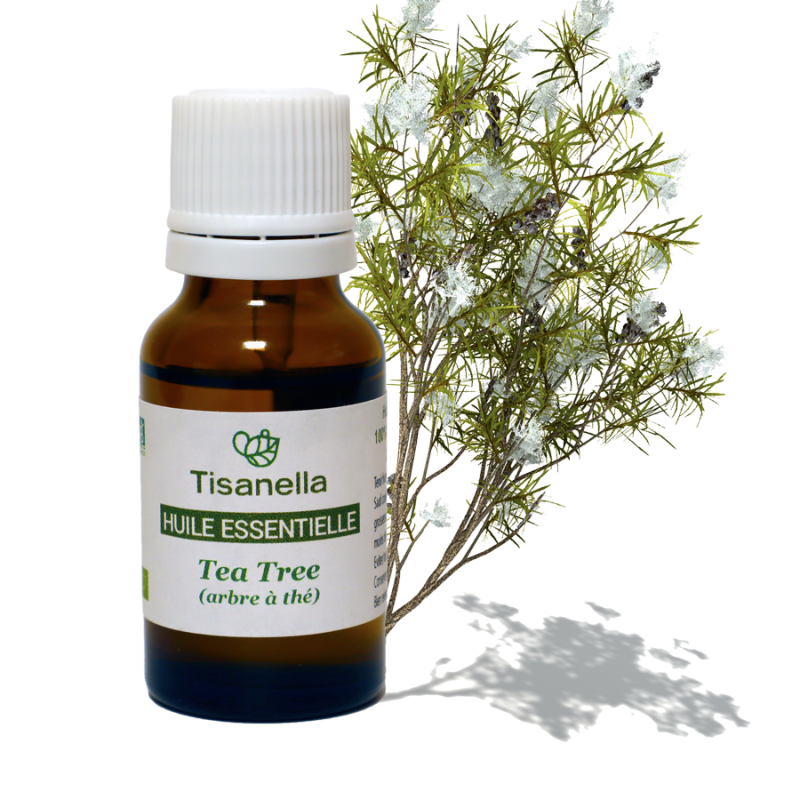 Huile essentielle de Tea tree (Arbre à thé) BIO Bioflore 10ml