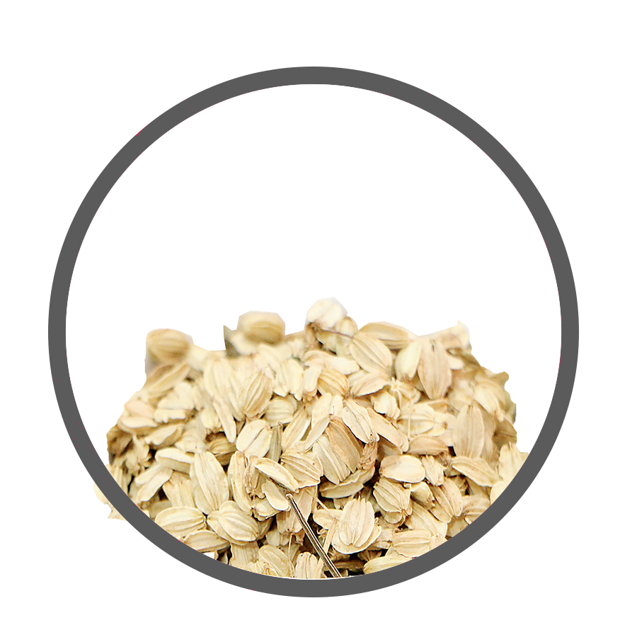 Angélique aérophagie