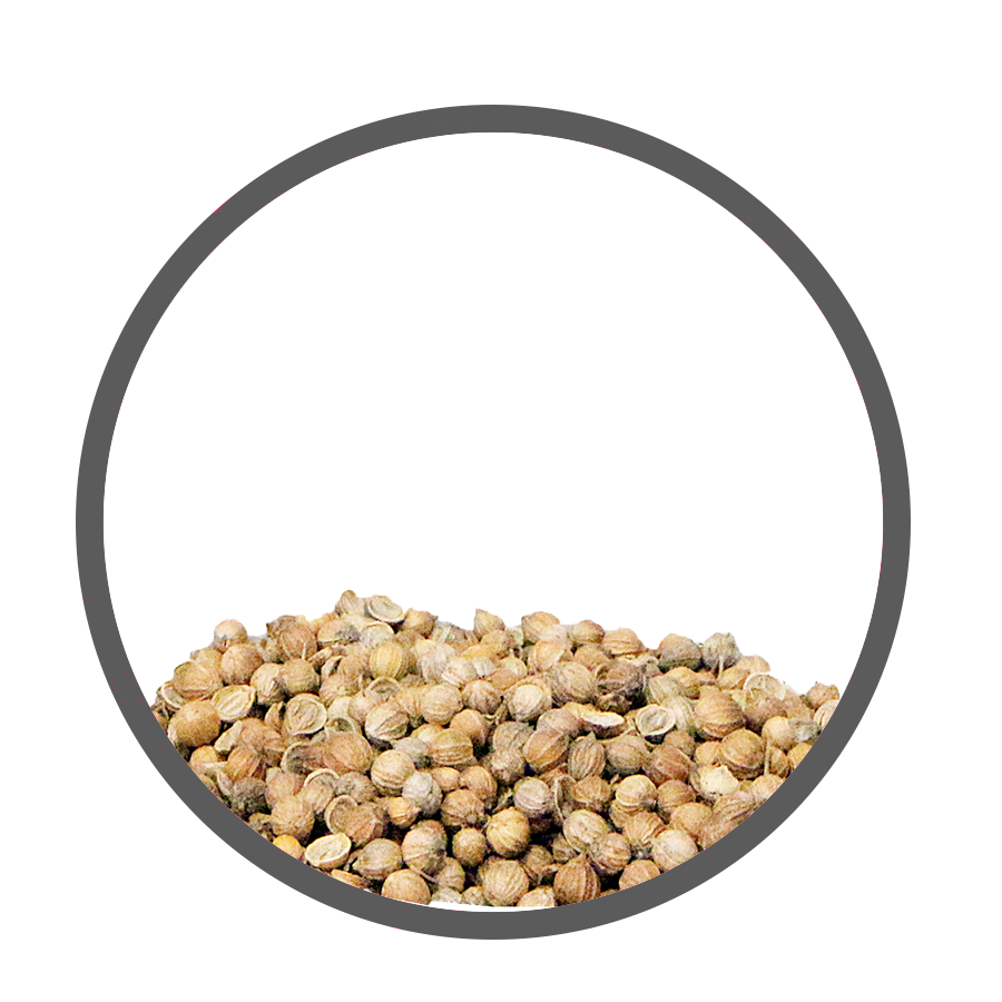 Coriandre Aérophagie