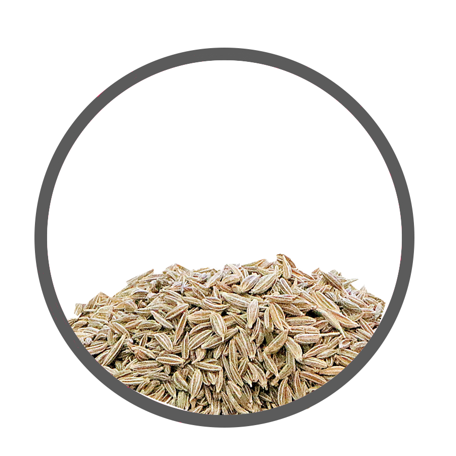 Cumin Aérophagie