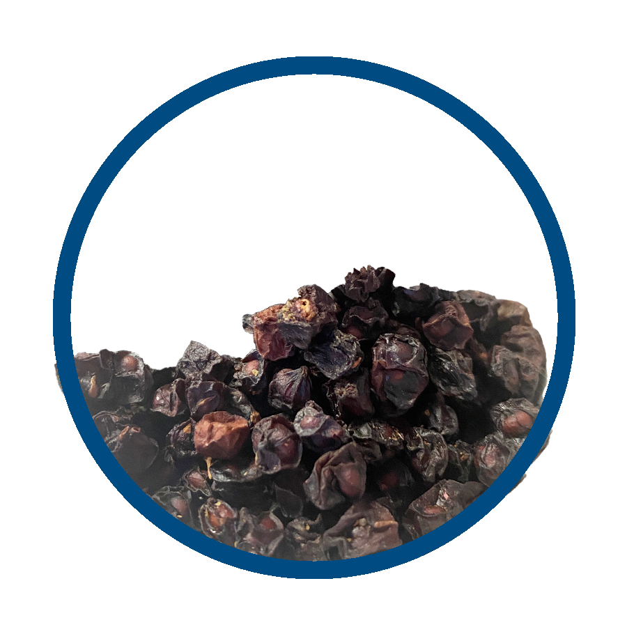 Schizandra Bien-être