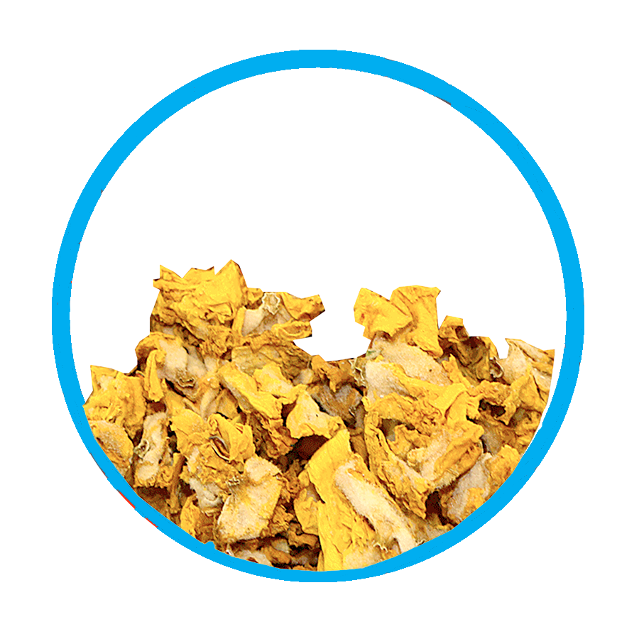 Bouillon Blanc Bronchique