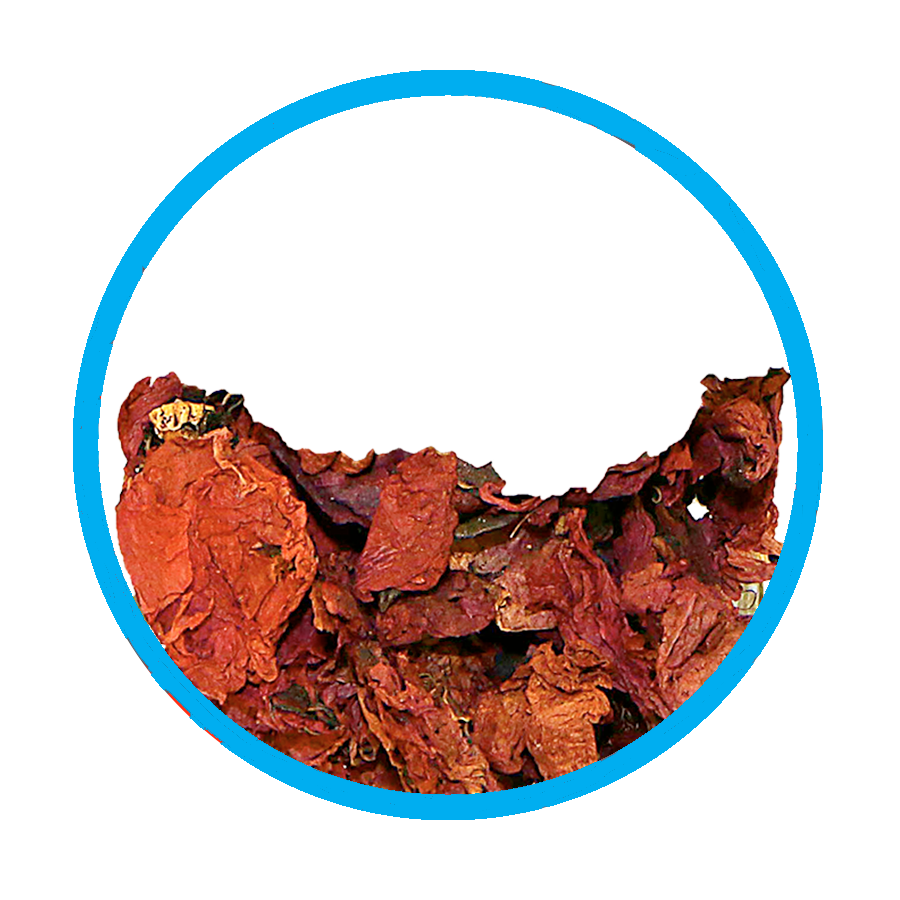 Coquelicot Bronchique