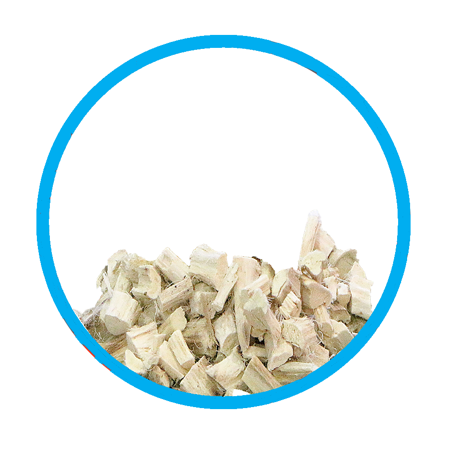 Guimauve racine Bronchique