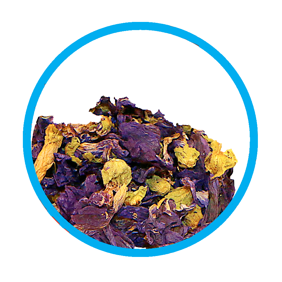 Mauve fleurs Bronchique