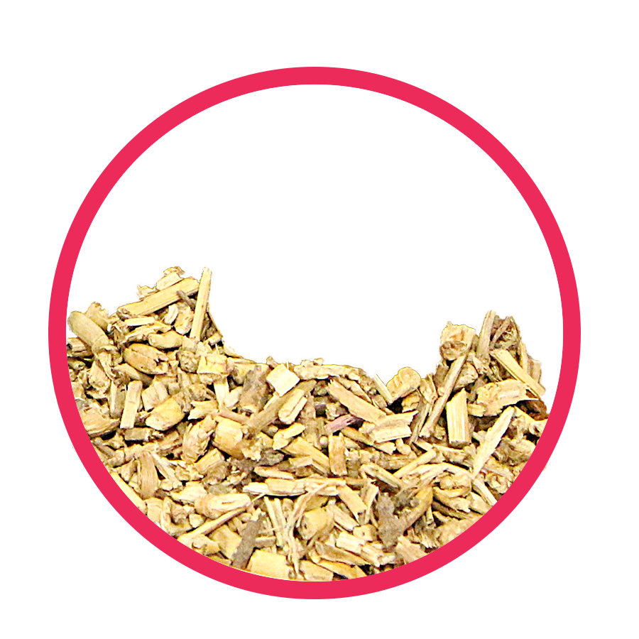 Chiendent Brule Graisse