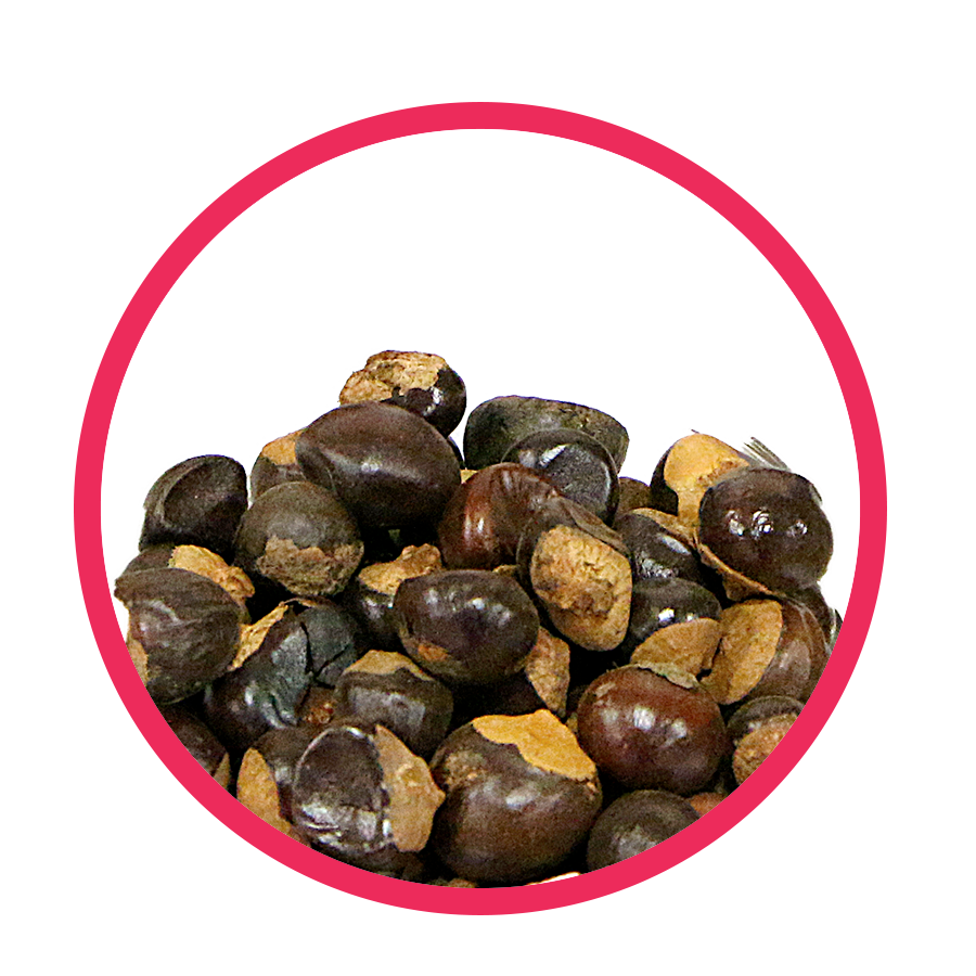 Guarana Brule graisse