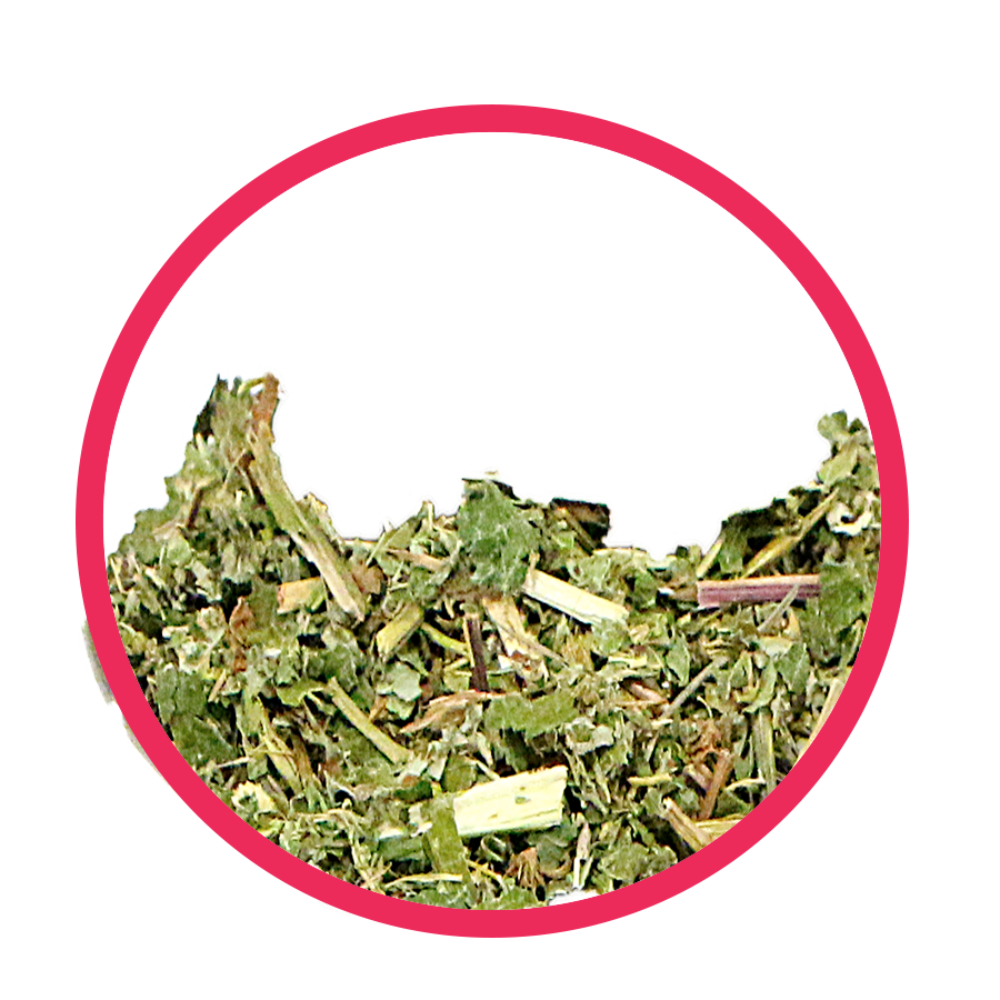 Reine des près Brule Graisse