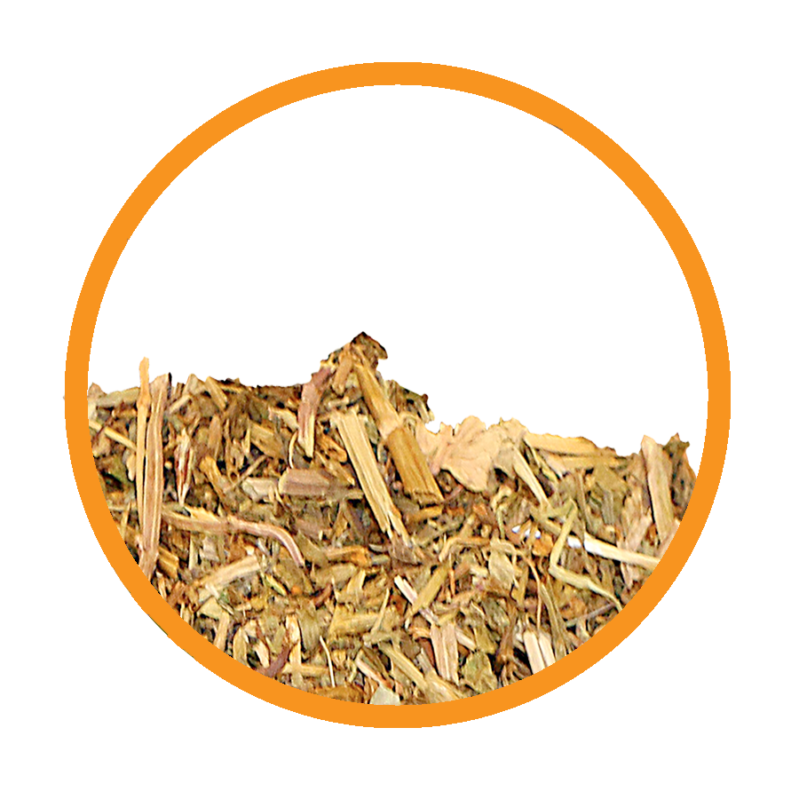 Lierre Calcul Rénal