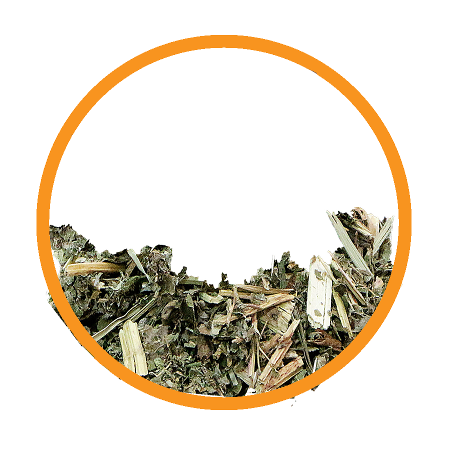 Reine des près Calcul Rénal