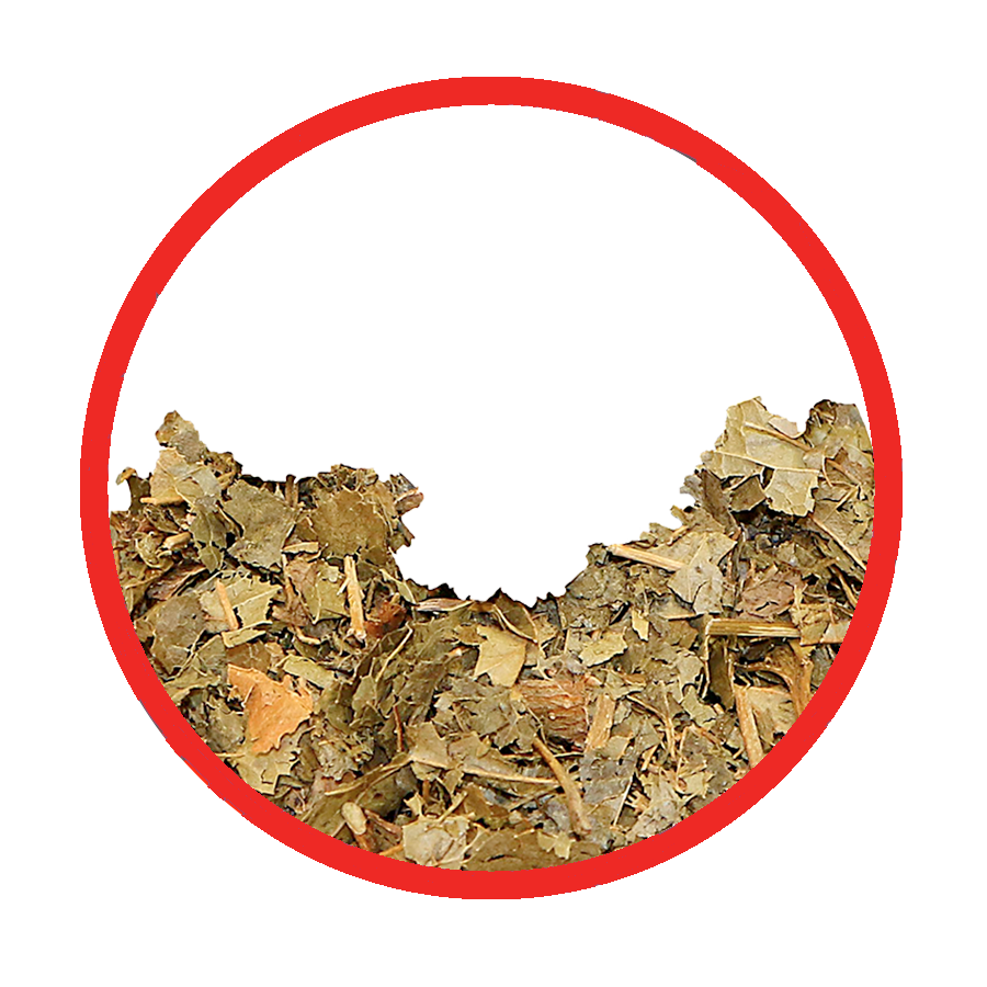 Hamamelis circulation