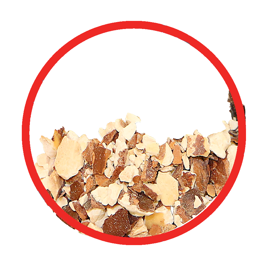 Marronnier d'Inde Circulation