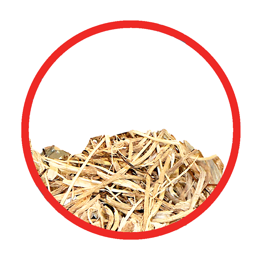 Petit houx circulation