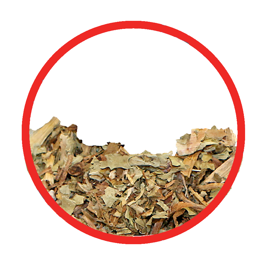 Pissenlt circulation