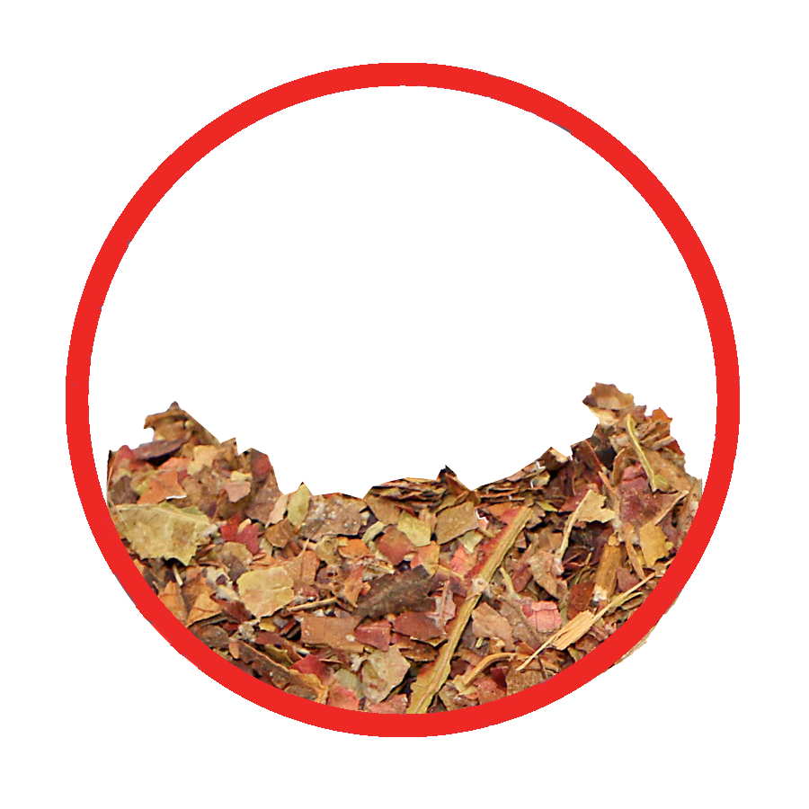 Vigne rouge circulation