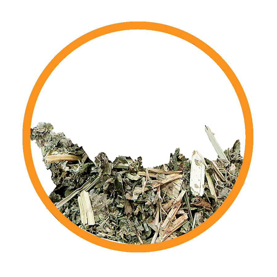 Reine des prés conf urinaire