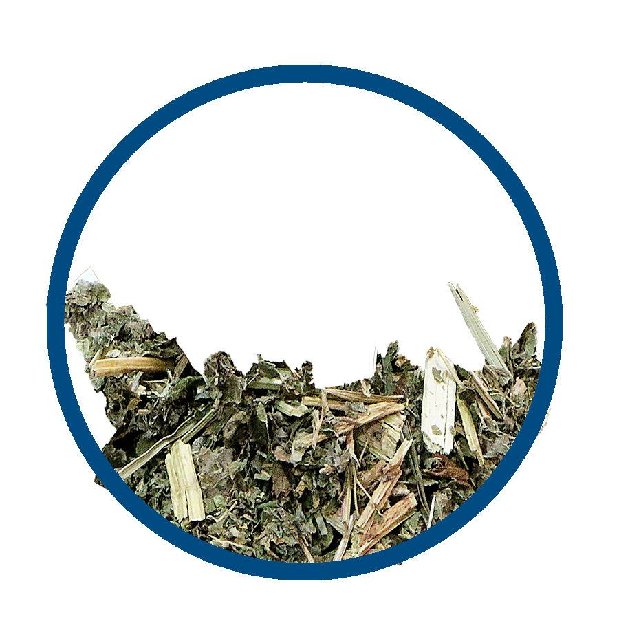 Reine des pres conf art