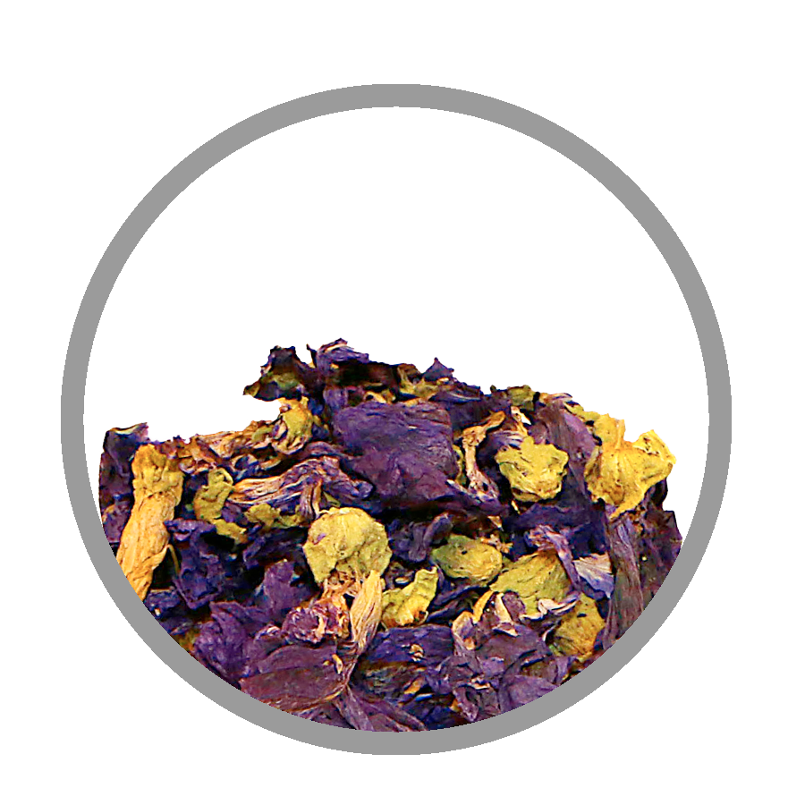 Mauve fleur conf intestinal