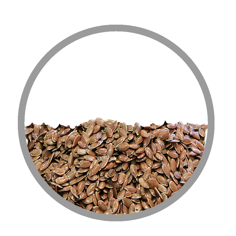 Graines de Lin Constipation