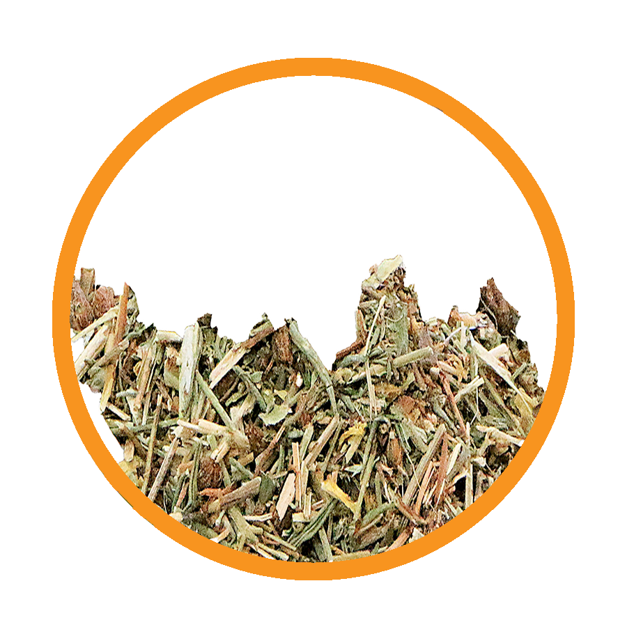 Millepertuis Cure de Breuss